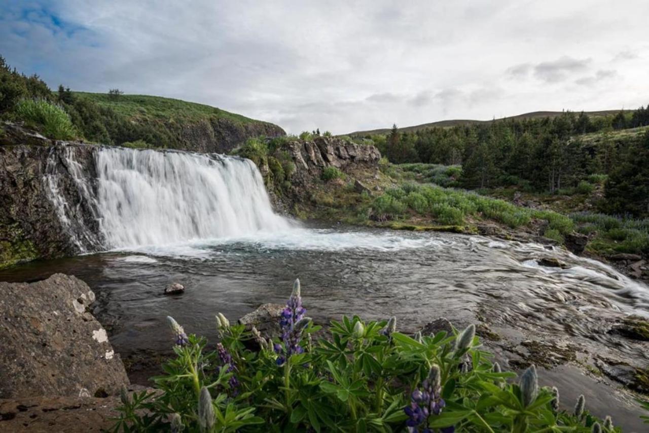 Hvammsvik Nature Resort Kjosahreppur Bagian luar foto