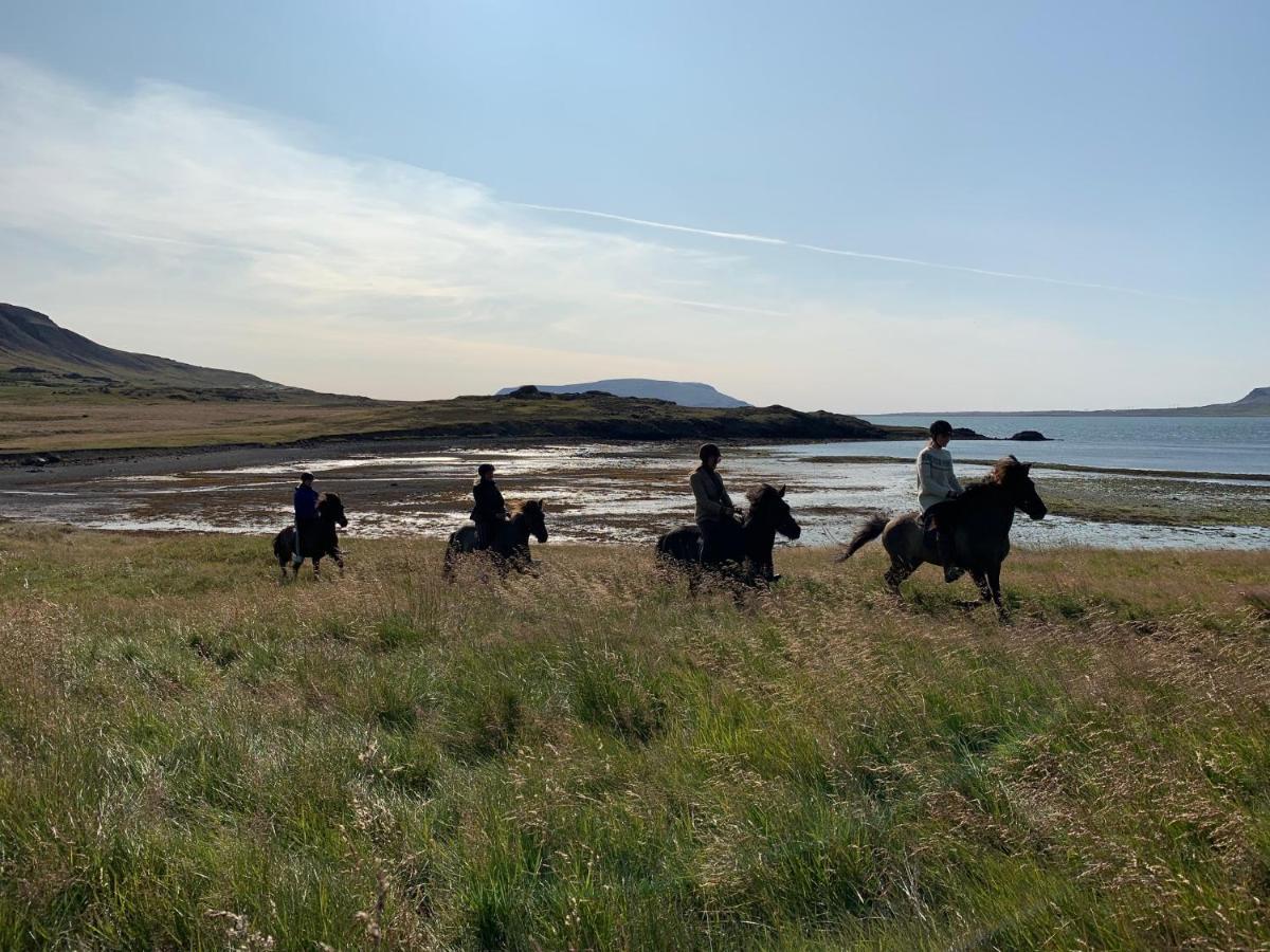 Hvammsvik Nature Resort Kjosahreppur Bagian luar foto